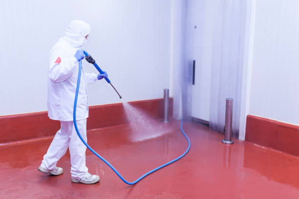Spring Cleaning in Gilroy, CA